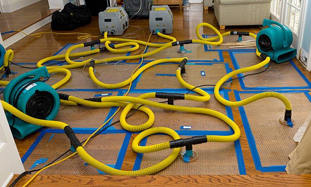 Professional Basement Flood Cleanup technician working in Sells, AZ
